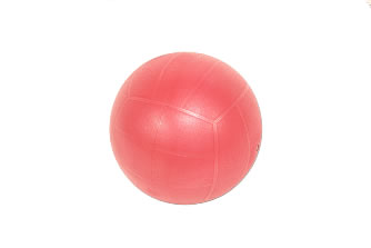 Мяч мини-волейбольный: S05554