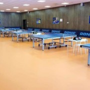 Зал для настольного тенниса в спортивном центре Aspan