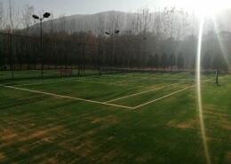 Теннисный корт в сан. Березка